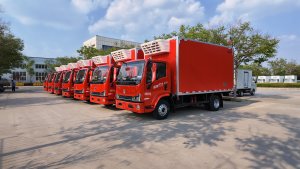Refrigerated Truck Brand Customization Solution - Image 3