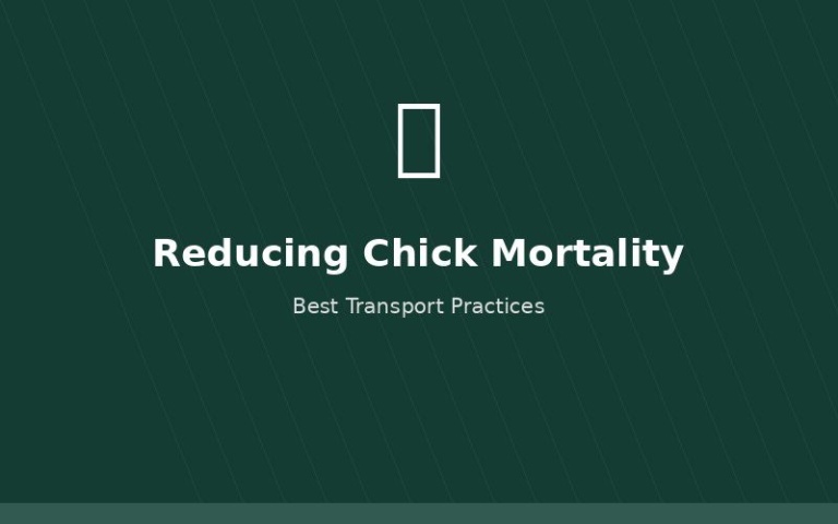Reducing chick mortality during transport