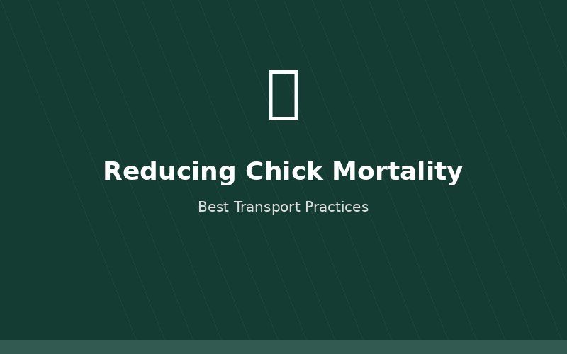 Reducing chick mortality during transport